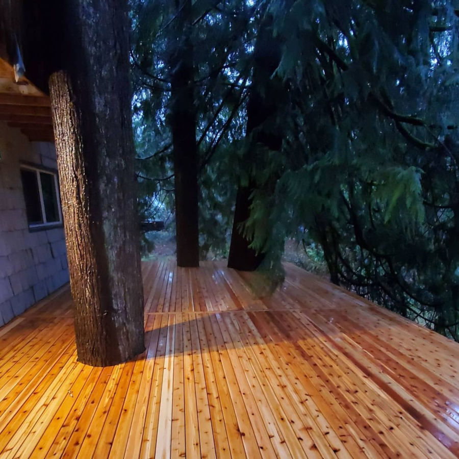 Cedar wood balcony deck in Seattle forest wrapping around a tree.